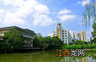 广西民族大学附近的学校有哪几个