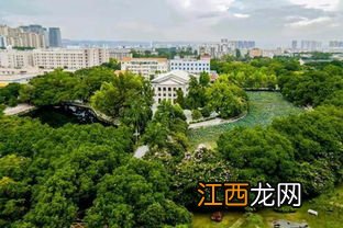 广西大学好不好