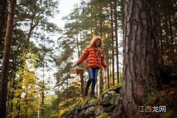 抓住夏天的尾巴,漫游芬兰群岛