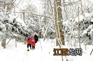 关于黑龙江的雪