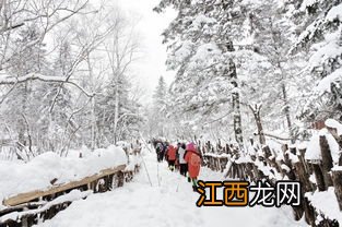 关于黑龙江的雪