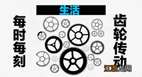 关于齿轮效应的问题