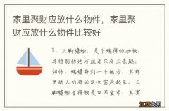 家里聚财应放什么物件，家里聚财应放什么物件比较好