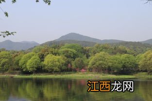 关于3月中旬游杭州西湖