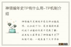 神领编年史TP有什么用-TP机制介绍