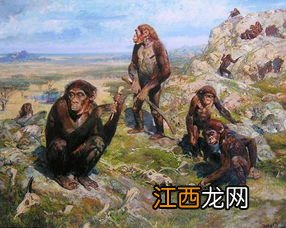 古代印度是怎样被人们发现的