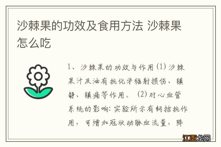 沙棘果的功效及食用方法 沙棘果怎么吃