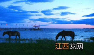 呼伦湖简介 中国第五大湖呼伦湖介绍