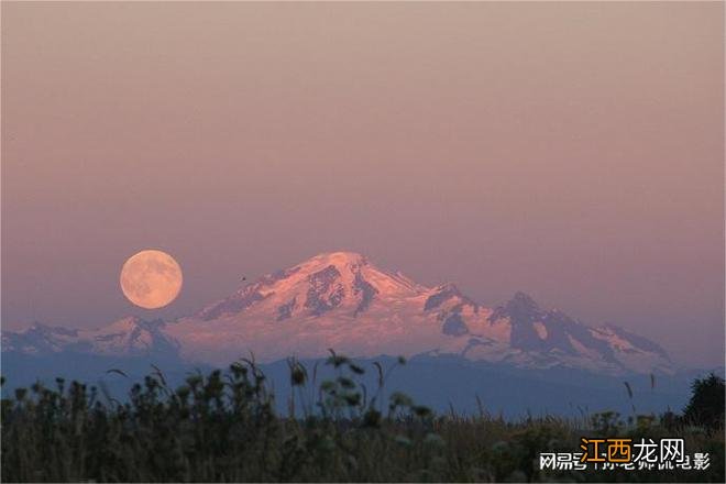 沪深300期权无门槛开户