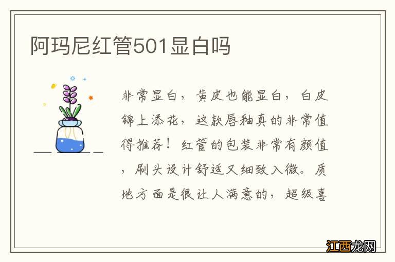 阿玛尼红管501显白吗