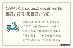 战锤40K:Shootas,Blood&Teef配置要求高吗-配置要求介绍