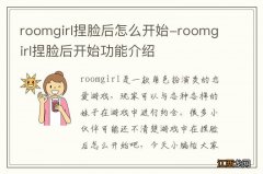 roomgirl捏脸后怎么开始-roomgirl捏脸后开始功能介绍