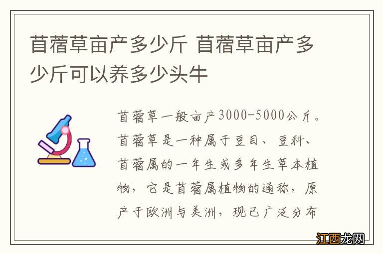 苜蓿草亩产多少斤 苜蓿草亩产多少斤可以养多少头牛