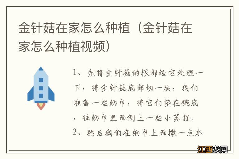 金针菇在家怎么种植视频 金针菇在家怎么种植