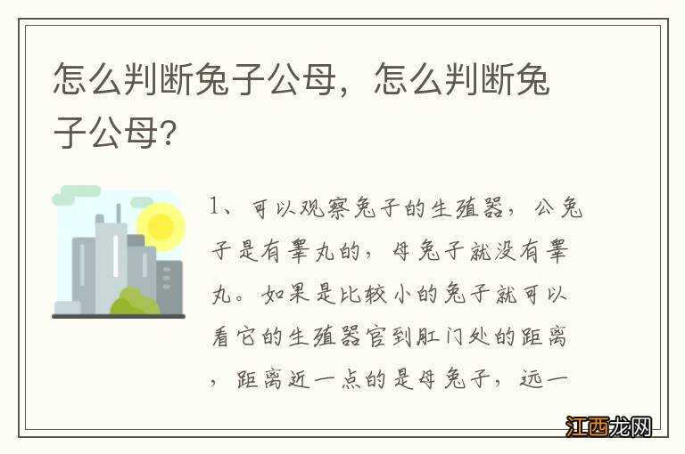 怎么判断兔子公母，怎么判断兔子公母?