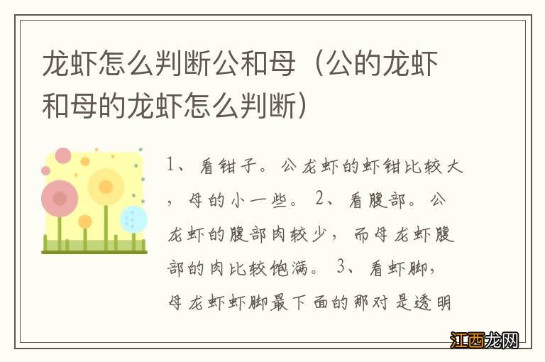 公的龙虾和母的龙虾怎么判断 龙虾怎么判断公和母