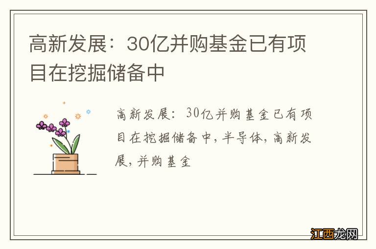 高新发展：30亿并购基金已有项目在挖掘储备中