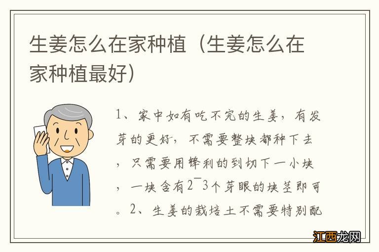 生姜怎么在家种植最好 生姜怎么在家种植