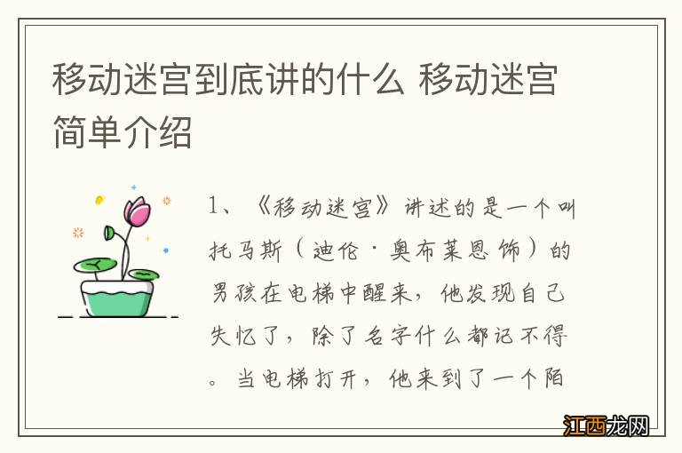 移动迷宫到底讲的什么 移动迷宫简单介绍