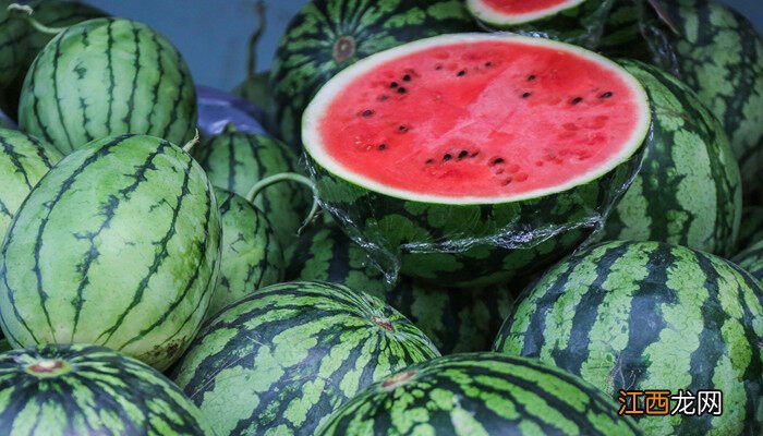 夏天什么生物长得最快小练笔 夏天什么生物长得最快