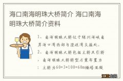 海口南海明珠大桥简介 海口南海明珠大桥简介资料