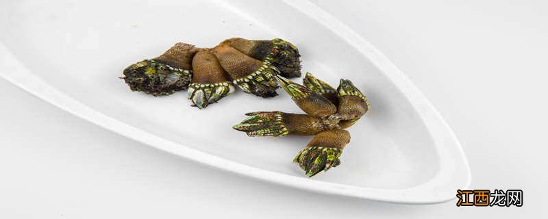 佛手螺是动物还是植物能吃吗 佛手螺是动物还是植物