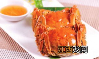 怎么能分辨公母 那怎么判断公母