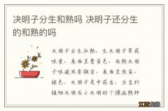 决明子分生和熟吗 决明子还分生的和熟的吗