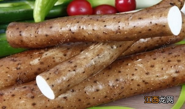 能补充营养的减肥食物有哪些？哪些食物能够加快新陈代谢？