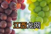 莲子米的功效与作用 莲子米的食用方式和注意事项