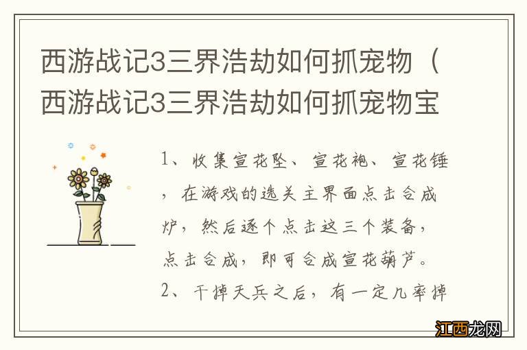 西游战记3三界浩劫如何抓宠物宝宝 西游战记3三界浩劫如何抓宠物