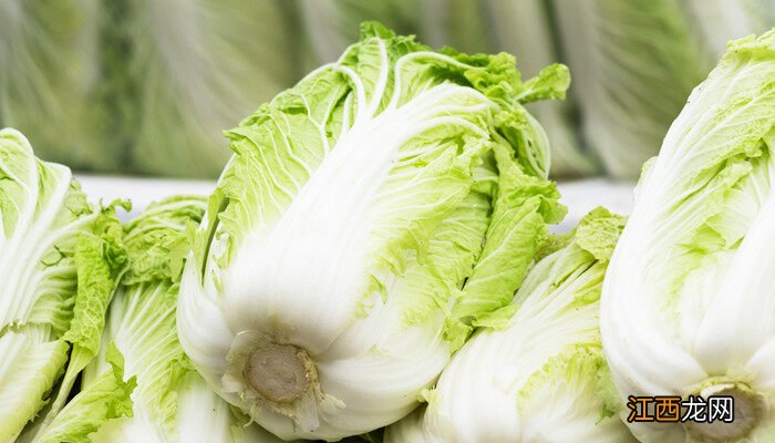 立冬后白菜还长吗? 立冬后大白菜还长吗