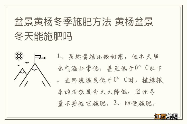 盆景黄杨冬季施肥方法 黄杨盆景冬天能施肥吗