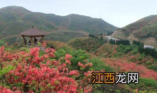 浏阳大围山适合什么季节去，浏阳大围山适合什么季节去游玩