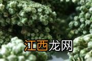 新鲜皂角米可以生吃吗 怎么知道皂角米熟了没