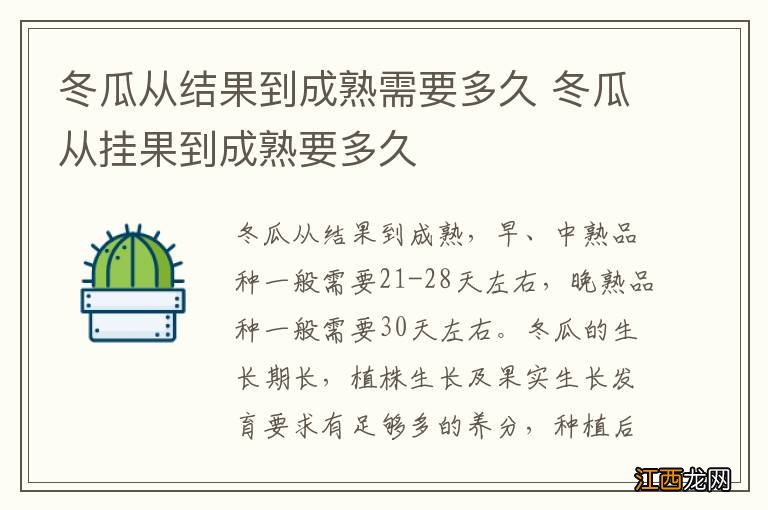 冬瓜从结果到成熟需要多久 冬瓜从挂果到成熟要多久