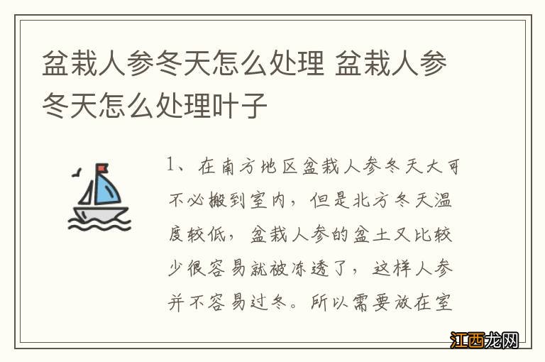 盆栽人参冬天怎么处理 盆栽人参冬天怎么处理叶子