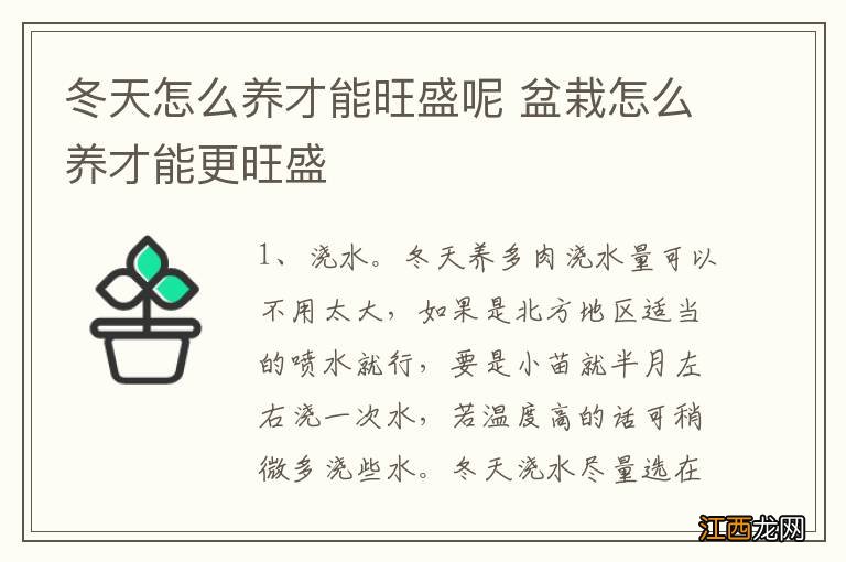 冬天怎么养才能旺盛呢 盆栽怎么养才能更旺盛