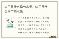 李子是什么季节水果，李子是什么季节的水果