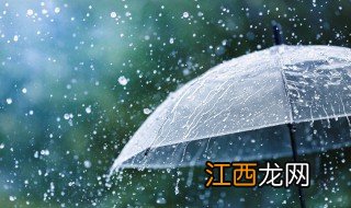 你还怕大雨吗歌词 你还怕大雨吗歌曲简介