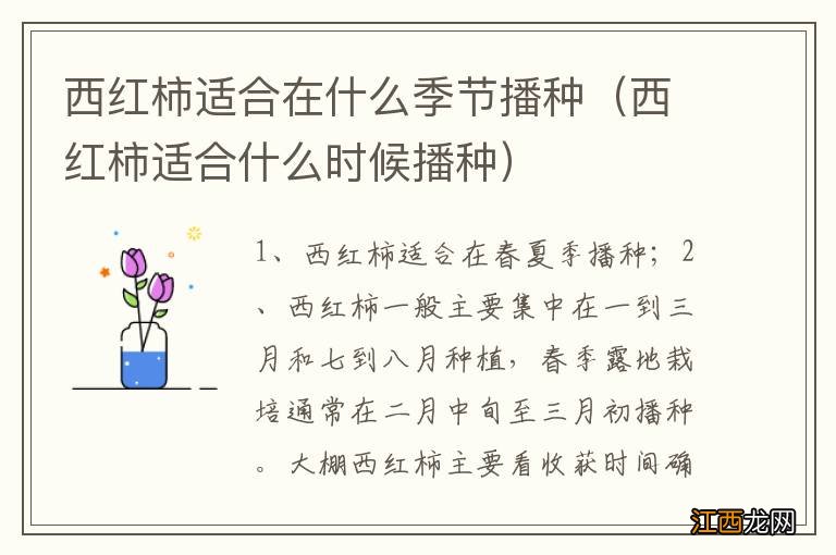 西红柿适合什么时候播种 西红柿适合在什么季节播种