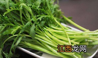 皇帝菜适合什么季节种植 这个季节适合种植什么菜