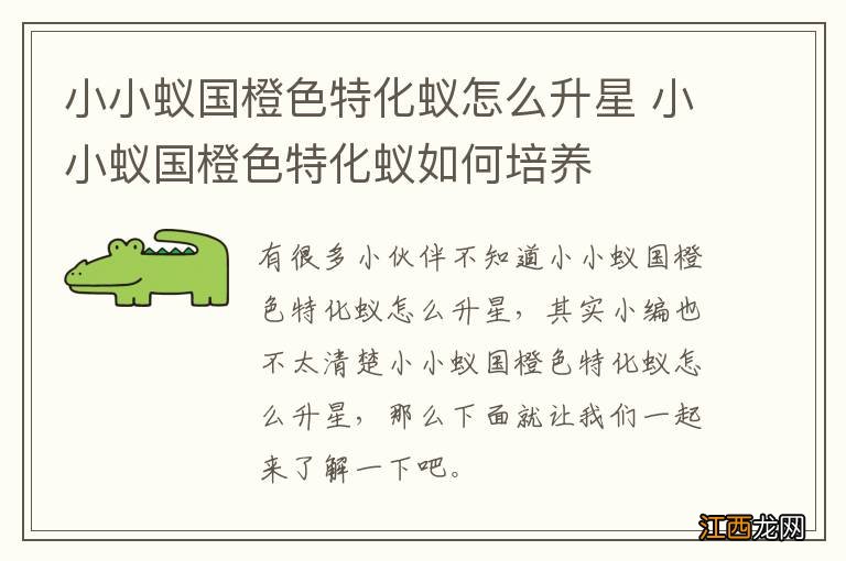 小小蚁国橙色特化蚁怎么升星 小小蚁国橙色特化蚁如何培养