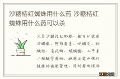 沙糖桔红蜘蛛用什么药 沙糖桔红蜘蛛用什么药可以杀