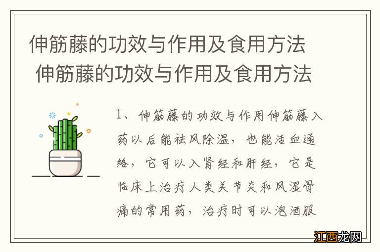 伸筋藤的功效与作用及食用方法 伸筋藤的功效与作用及食用方法有哪些