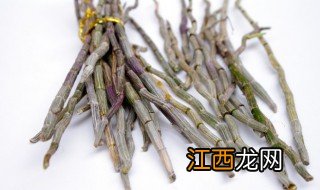 香水石斛适合什么季节种植最好 香水石斛适合什么季节种植