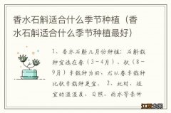 香水石斛适合什么季节种植最好 香水石斛适合什么季节种植