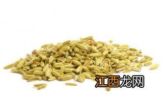 茴香适合在什么季节播种种子 茴香适合在什么季节播种