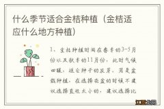 金桔适应什么地方种植 什么季节适合金桔种植