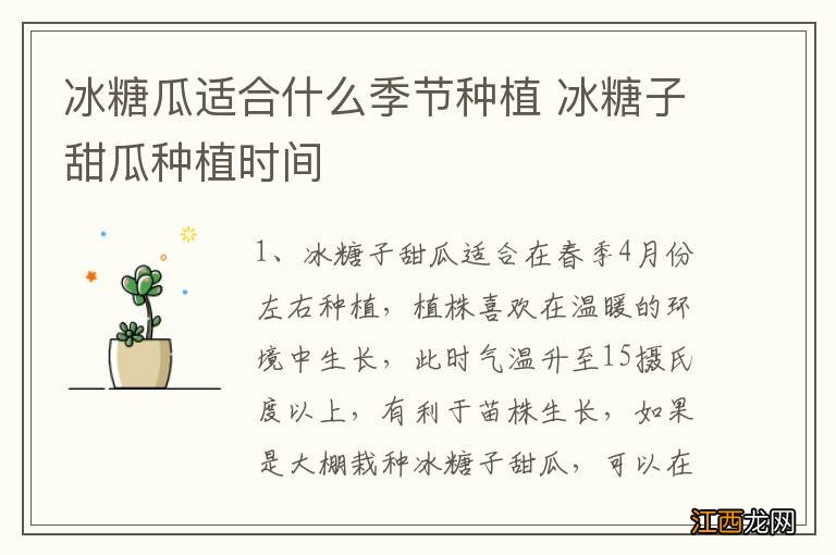 冰糖瓜适合什么季节种植 冰糖子甜瓜种植时间